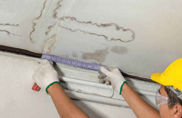 Reliable Water Damage Repair contractor in Courtland, AL by Hirex Water Damage
